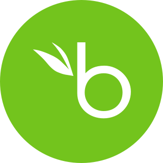 BambooHR Icon